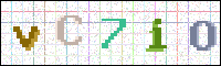 Image Verification