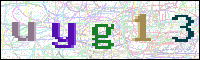 Image Verification