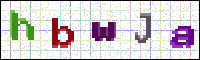 Image Verification