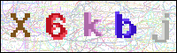 Image Verification