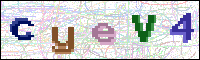 Image Verification