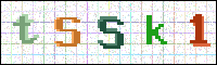 Image Verification