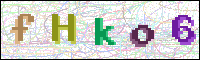 Image Verification
