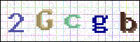 Image Verification