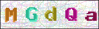 Image Verification
