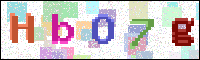 Image Verification