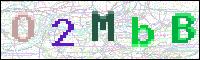 Image Verification