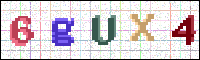 Image Verification