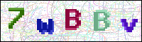 Image Verification