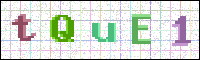Image Verification