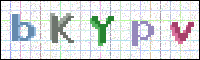 Image Verification