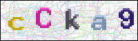Image Verification