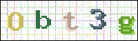 Image Verification