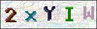 Image Verification