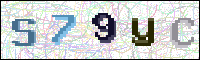 Image Verification