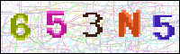 Image Verification