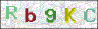 Image Verification