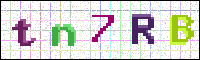 Image Verification