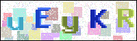 Image Verification