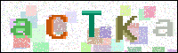 Image Verification