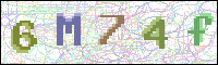 Image Verification