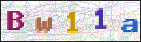 Image Verification