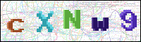 Image Verification