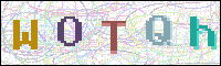 Image Verification