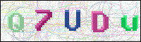 Image Verification