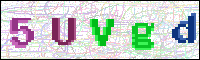 Image Verification