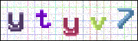 Image Verification