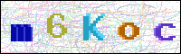 Image Verification