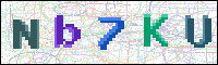 Image Verification