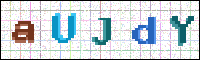 Image Verification
