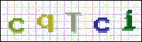 Image Verification
