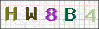 Image Verification
