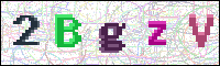 Image Verification