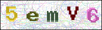 Image Verification