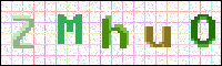 Image Verification