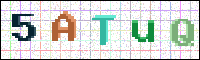 Image Verification