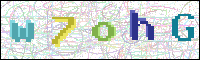 Image Verification