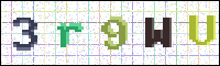Image Verification