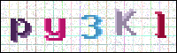 Image Verification