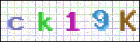 Image Verification