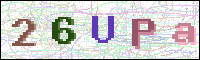 Image Verification
