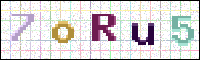 Image Verification