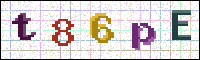 Image Verification