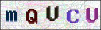 Image Verification