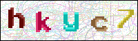 Image Verification