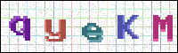 Image Verification
